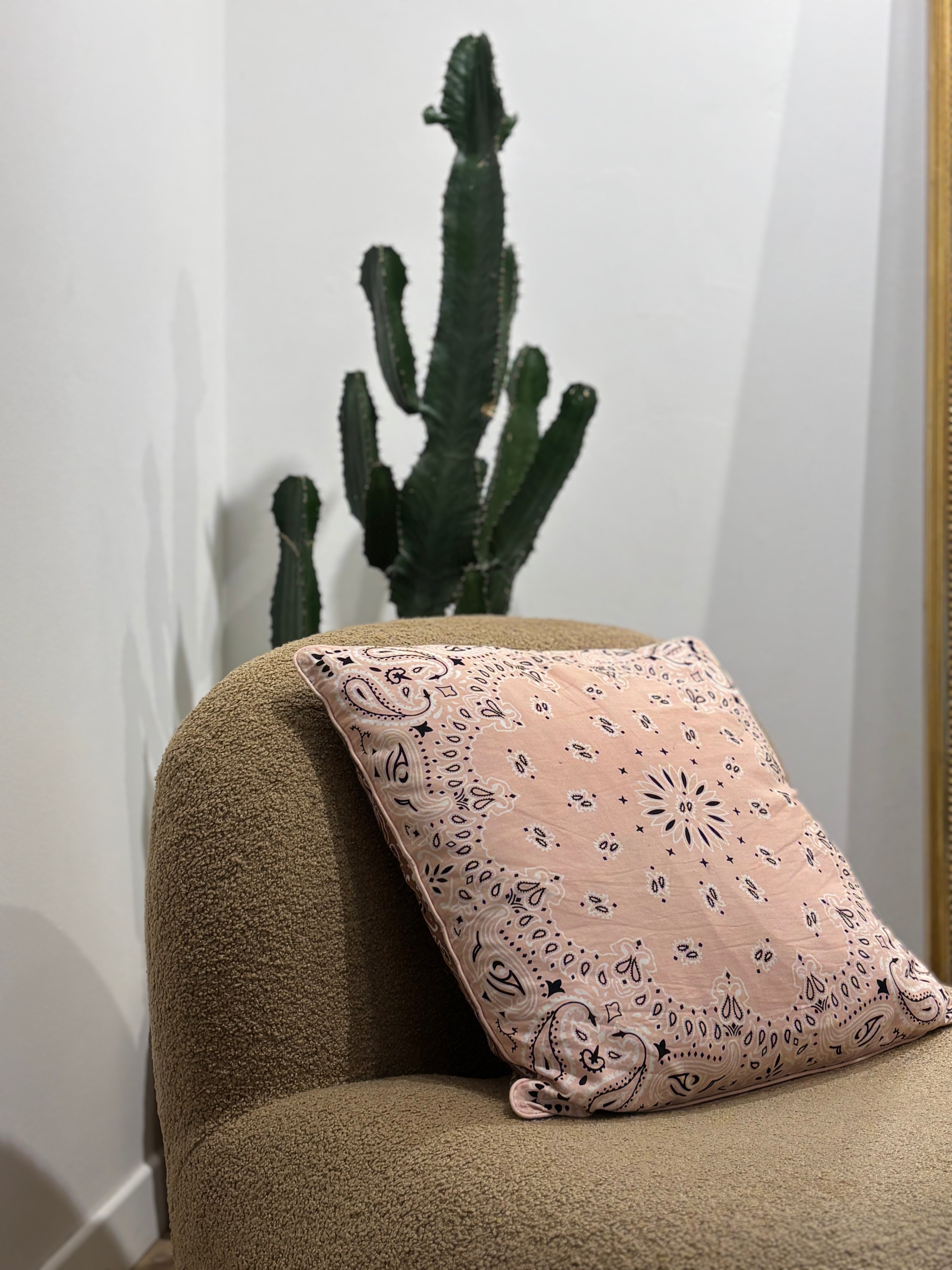 Housse de coussin Bicolore
