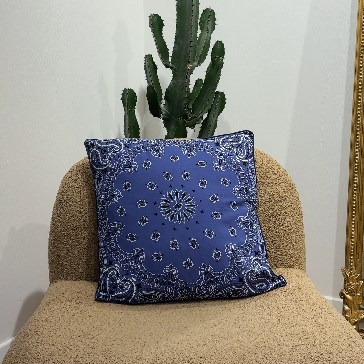 Housse de coussin Bicolore