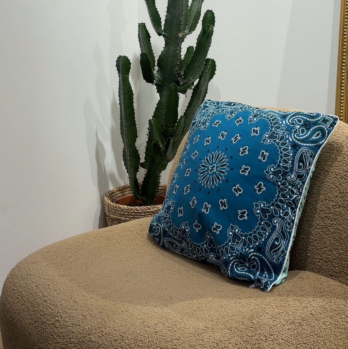Housse de coussin Bicolore